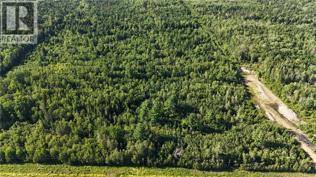 Woodlot Route 8