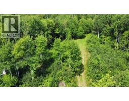 Lot Gerard, Saint Antoine, NB E4V1A8 Photo 7