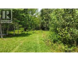 Lot Gerard, Saint Antoine, NB E4V1A8 Photo 6
