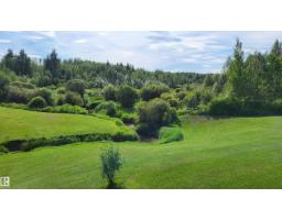 50128 Hwy 22, Rural Brazeau County, AB T7A2A2 Photo 27