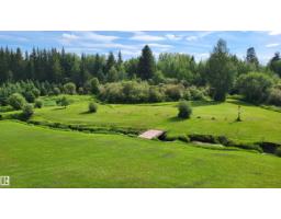 50128 Hwy 22, Rural Brazeau County, AB T7A2A2 Photo 66