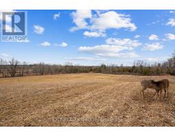 4006 Stirling Marmora Road, Stirling Rawdon, ON K0K3E0 Photo 25