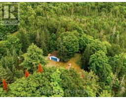 5164 Arden Road, Frontenac, ON K0H1B0 Photo 46