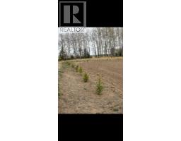 N/a Township Road 354, Rural Clearwater County, AB T0M0M0 Photo 13