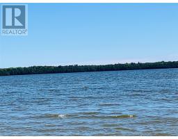 Pl12c6 Dawson Loon Lake Road, Meldrum Bay, ON P0P1R0 Photo 11