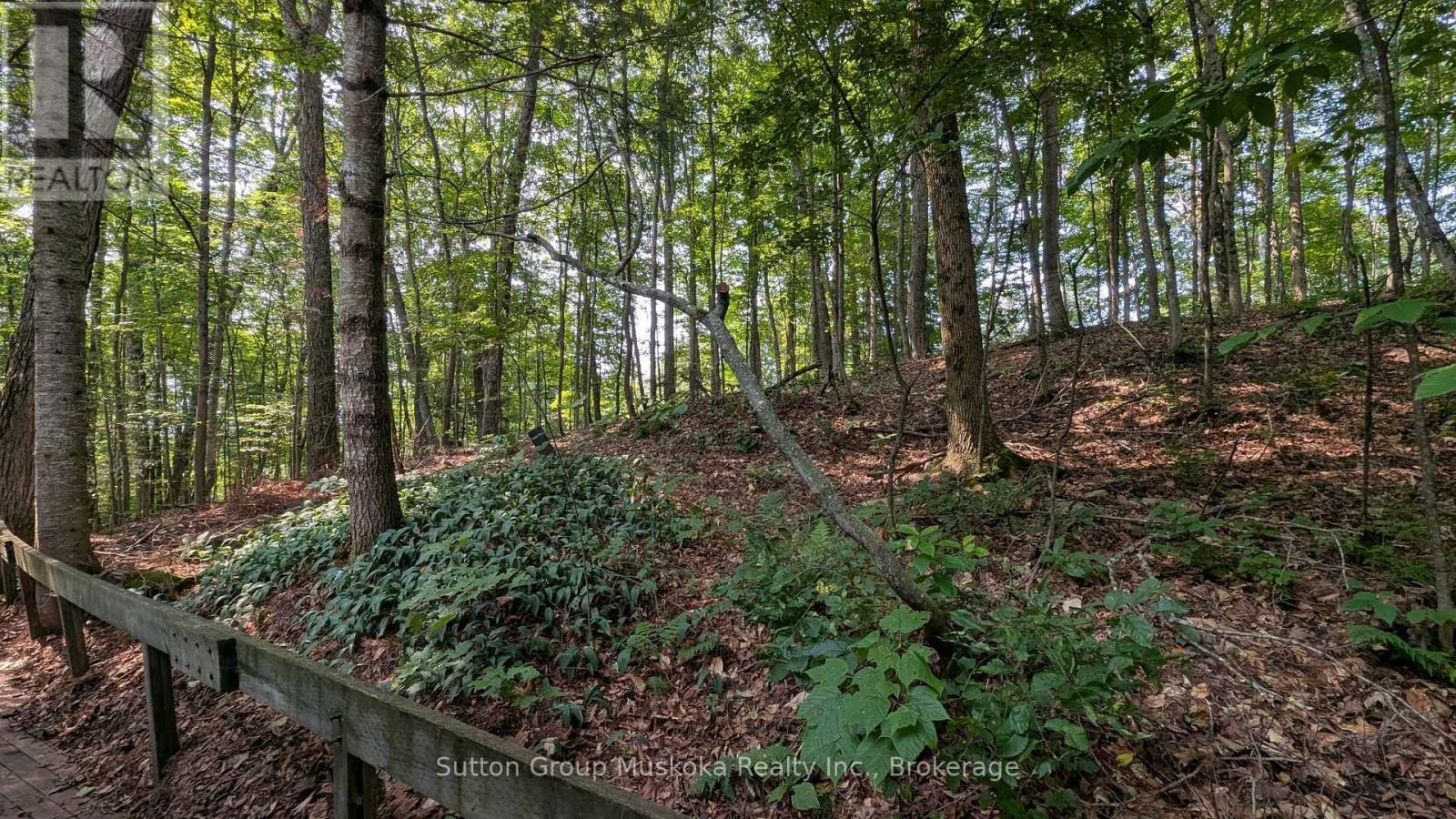 213 WOODLAND DRIVE - Image 18
