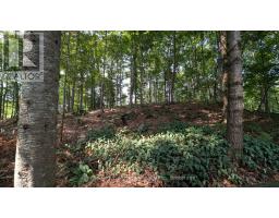 213 Woodland Drive, Huntsville, ON P1H1A7 Photo 19