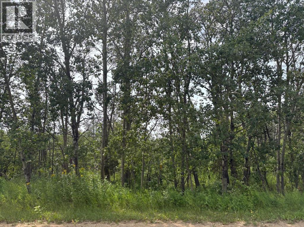 22113 TWP RD 440