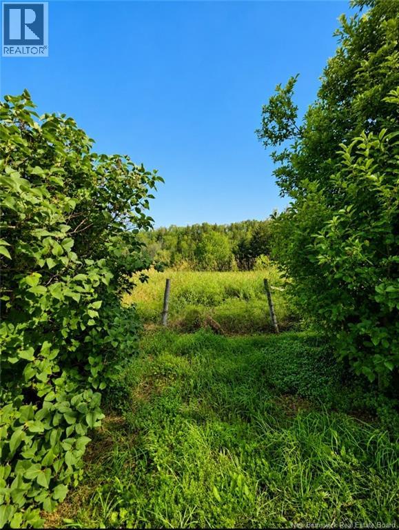 307 Bannister Road - 36
