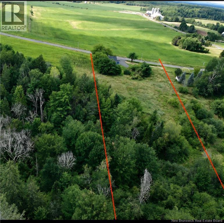 307 Bannister Road - 43