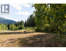1681 Sugar Lake Road Lot# 20, Cherryville, BC V0E2G5 Photo 12