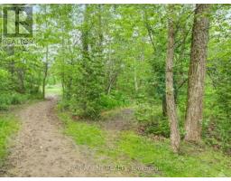 Pt Lt16 North Lunenburg Road W, South Stormont, ON K0C1R0 Photo 6