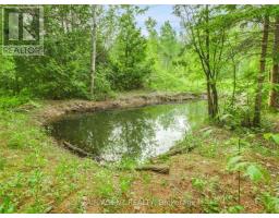 Pt Lt16 North Lunenburg Road W, South Stormont, ON K0C1R0 Photo 7