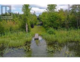 126 Almur Drive, Georgian Bluffs, ON N0H2T0 Photo 42
