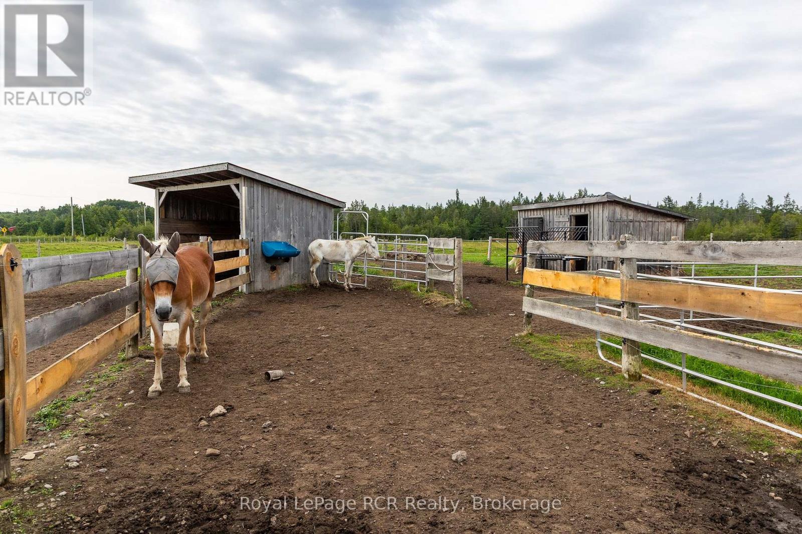 1519 WEST ROAD - Image 39