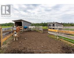 1519 West Road, Northern Bruce Peninsula, ON N0H1W0 Photo 39