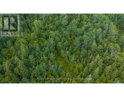 1519 West Road, Northern Bruce Peninsula, ON N0H1W0 Photo 45