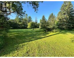 315134 Highway 6, West Grey, ON N0G1R0 Photo 36