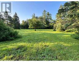 315134 Highway 6, West Grey, ON N0G1R0 Photo 37