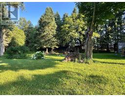 315134 Highway 6, West Grey, ON N0G1R0 Photo 38