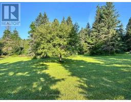 315134 Highway 6, West Grey, ON N0G1R0 Photo 39
