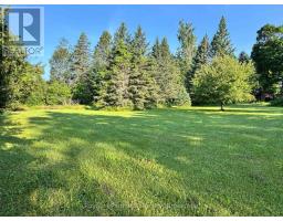 315134 Highway 6, West Grey, ON N0G1R0 Photo 41