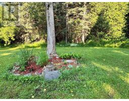 315134 Highway 6, West Grey, ON N0G1R0 Photo 46