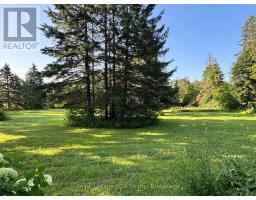 315134 Highway 6, West Grey, ON N0G1R0 Photo 47