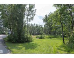 25 53051 Rge Road 211, Rural Strathcona County, AB T8G2C6 Photo 50