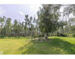 25 53051 Rge Road 211, Rural Strathcona County, AB T8G2C6 Photo 41