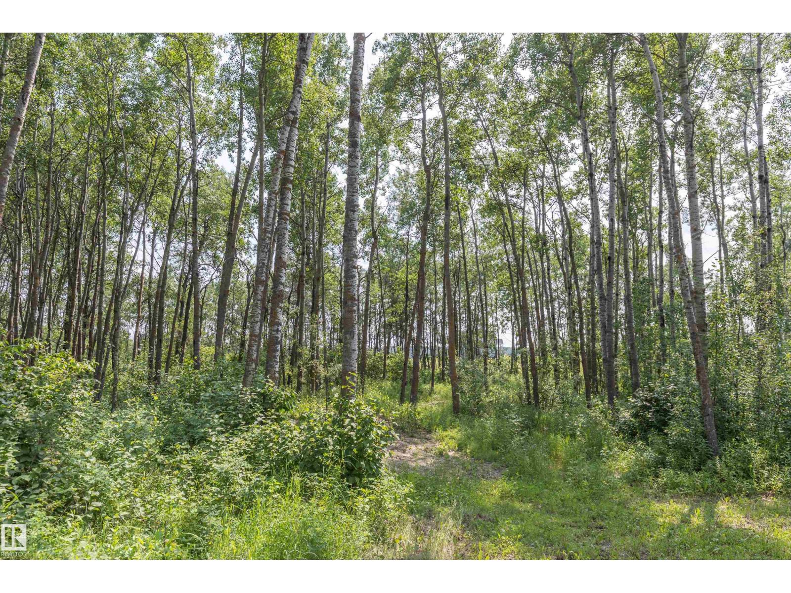 25 53051 RGE ROAD 211 - Photo 42