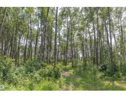 25 53051 Rge Road 211, Rural Strathcona County, AB T8G2C6 Photo 42