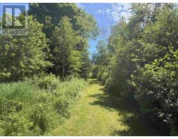 Ross Creek Road, Ross Creek, NS B0P1H0 Photo 18