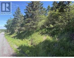 Ross Creek Road, Ross Creek, NS B0P1H0 Photo 17