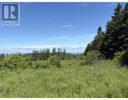 Ross Creek Road, Ross Creek, NS B0P1H0 Photo 22