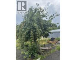 13 Manson Crescent, Mackenzie, BC V0J2C0 Photo 21
