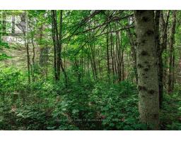 167 North Pickerel Lake Road, Armour, ON P0A1C0 Photo 11