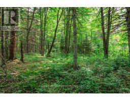 167 North Pickerel Lake Road, Armour, ON P0A1C0 Photo 13