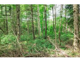 167 North Pickerel Lake Road, Armour, ON P0A1C0 Photo 14