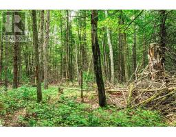 167 North Pickerel Lake Road, Armour, ON P0A1C0 Photo 16