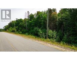 167 North Pickerel Lake Road, Armour, ON P0A1C0 Photo 18