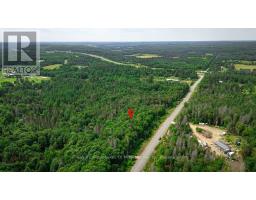 167 North Pickerel Lake Road, Armour, ON P0A1C0 Photo 19