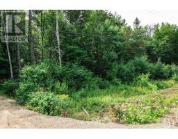 167 North Pickerel Lake Road, Armour, ON P0A1C0 Photo 6