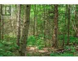 167 North Pickerel Lake Road, Armour, ON P0A1C0 Photo 7