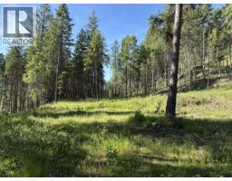 5600 Christian Valley Road, Westbridge, BC V0H1Y0 Photo 7
