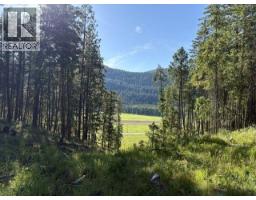 5600 Christian Valley Road, Westbridge, BC V0H1Y0 Photo 6