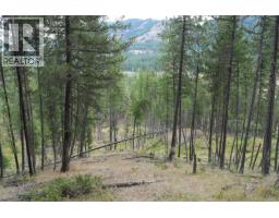 5600 Christian Valley Road, Westbridge, BC V0H1Y0 Photo 14