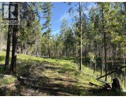 5600 Christian Valley Road, Westbridge, BC V0H1Y0 Photo 8