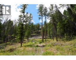 5600 Christian Valley Road, Westbridge, BC V0H1Y0 Photo 34