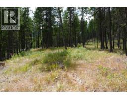 5600 Christian Valley Road, Westbridge, BC V0H1Y0 Photo 17